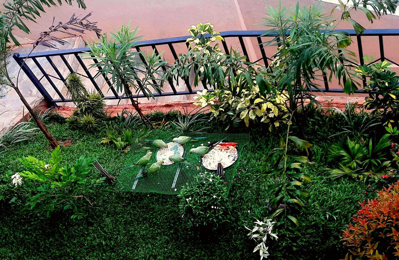 Saru Holiday Apartment - Up To 6 Guests Kandy Esterno foto